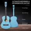 imageBest Choice Products 30in Kids Acoustic Guitar AllinOne Beginner Starter Kit wStrap Case Extra Strings Rosette Inlay  RedburstSky Blue