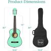 imageBest Choice Products 30in Kids Acoustic Guitar AllinOne Beginner Starter Kit wStrap Case Extra Strings Rosette Inlay  RedburstSoCal Green