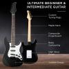 imageBest Choice Products 39in Full Size Beginner Electric Guitar Starter Kit wCase Strap 10W Amp Strings Pick Tremolo Bar  SunburstJet Black