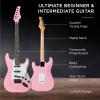 imageBest Choice Products 39in Full Size Beginner Electric Guitar Starter Kit wCase Strap 10W Amp Strings Pick Tremolo Bar  SunburstPink