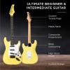 imageBest Choice Products 39in Full Size Beginner Electric Guitar Starter Kit wCase Strap 10W Amp Strings Pick Tremolo Bar  SunburstYellow