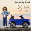 imageBest Choice Products Licensed Ford F150 Lightning Truck Kids 24V 2Seater Electric Ride On Car Toy w 132lb Weight Capacity Parent Control  GrayBlue