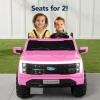 imageBest Choice Products Licensed Ford F150 Lightning Truck Kids 24V 2Seater Electric Ride On Car Toy w 132lb Weight Capacity Parent Control  GrayPink