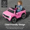 imageBest Choice Products Licensed Ford F150 Lightning Truck Kids 24V 2Seater Electric Ride On Car Toy w 132lb Weight Capacity Parent Control  GrayPink
