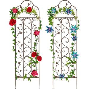 imageBest Choice Products Set of 2 60x15inch Iron Arched Garden Trellis wBranches Birds for Lawn Garden Backyard Climbing Plants2