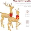 imageBest Choice Products 3Piece Large Lighted Christmas Deer Family Set 5Ft Outdoor Yard Decoration with 360 LED Lights Stakes Zip Ties  RattanGold  Extra Large