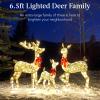 imageBest Choice Products 3Piece Large Lighted Christmas Deer Family Set 5Ft Outdoor Yard Decoration with 360 LED Lights Stakes Zip Ties  RattanGold  Extra Large