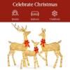 imageBest Choice Products 3Piece Large Lighted Christmas Deer Family Set 5Ft Outdoor Yard Decoration with 360 LED Lights Stakes Zip Ties  RattanGold  Large