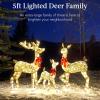 imageBest Choice Products 3Piece Large Lighted Christmas Deer Family Set 5Ft Outdoor Yard Decoration with 360 LED Lights Stakes Zip Ties  RattanGold  Large