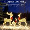 imageBest Choice Products 3Piece Large Lighted Christmas Deer Family Set 5Ft Outdoor Yard Decoration with 360 LED Lights Stakes Zip Ties  RattanIridescent  Large