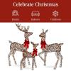 imageBest Choice Products 3Piece Large Lighted Christmas Deer Family Set 5Ft Outdoor Yard Decoration with 360 LED Lights Stakes Zip Ties  RattanRattan  Extra Large
