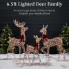 imageBest Choice Products 3Piece Large Lighted Christmas Deer Family Set 5Ft Outdoor Yard Decoration with 360 LED Lights Stakes Zip Ties  RattanRattan  Extra Large
