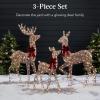 imageBest Choice Products 3Piece Large Lighted Christmas Deer Family Set 5Ft Outdoor Yard Decoration with 360 LED Lights Stakes Zip Ties  RattanRattan  Large