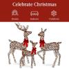 imageBest Choice Products 3Piece Large Lighted Christmas Deer Family Set 5Ft Outdoor Yard Decoration with 360 LED Lights Stakes Zip Ties  RattanRattan  Large