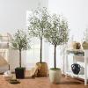 imageBest Choice Products 5Ft Artificial Olive Tree Lifelike Faux Tree wPlanter Pot Indoor Home Office Accent Decor Realistic Trunk Fruit Fake Plant5ft
