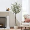 imageBest Choice Products 5Ft Artificial Olive Tree Lifelike Faux Tree wPlanter Pot Indoor Home Office Accent Decor Realistic Trunk Fruit Fake Plant65ft
