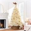 imageBest Choice Products Artificial Ivory Pampas Christmas Tree 75ft Premium Deluxe Unlit Pampas Grass Holiday Dcor Easy Assembly Metal BaseIvory