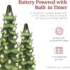 imageBest Choice Products Set of 3 Ceramic Christmas Trees PreLit HandPainted Tabletop Holiday Decoration wMulticolor Bulbs LED Lights  GreenGreen W Warm White Lights