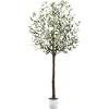 imageBest Choice Products 5Ft Artificial Olive Tree Lifelike Faux Tree wPlanter Pot Indoor Home Office Accent Decor Realistic Trunk Fruit Fake Plant5ft