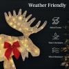 imageBest Choice Products 2D Moose Family Outdoor 2Pc Christmas Yard Dcor 4ft Lighted Yard Set Prelit AllWeather w 125 LEDs Ground Stakes  GoldGold  3Piece