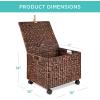 imageBest Choice Products Handwoven Water Hyacinth Rolling Filing Cabinet Mobile File Organizer for Hanging Folders WLid and Locking Wheels For Home or Office  NaturalBrown