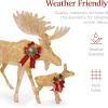 imageBest Choice Products 2Piece Moose Family Lighted Outdoor AllWeather Christmas Yard Decoration LightUp Dcor Set w 170 LED Lights Ground Stakes Zip Ties  GoldGold  Extra Large