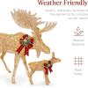 imageBest Choice Products 2Piece Moose Family Lighted Outdoor AllWeather Christmas Yard Decoration LightUp Dcor Set w 170 LED Lights Ground Stakes Zip Ties  GoldGold  Large