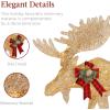 imageBest Choice Products 2Piece Moose Family Lighted Outdoor AllWeather Christmas Yard Decoration LightUp Dcor Set w 170 LED Lights Ground Stakes Zip Ties  GoldGold  Large