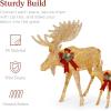 imageBest Choice Products 2Piece Moose Family Lighted Outdoor AllWeather Christmas Yard Decoration LightUp Dcor Set w 170 LED Lights Ground Stakes Zip Ties  GoldGold  Large