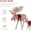 imageBest Choice Products 2Piece Moose Family Lighted Outdoor AllWeather Christmas Yard Decoration LightUp Dcor Set w 170 LED Lights Ground Stakes Zip Ties  GoldRattan  Extra Large