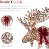 imageBest Choice Products 2Piece Moose Family Lighted Outdoor AllWeather Christmas Yard Decoration LightUp Dcor Set w 170 LED Lights Ground Stakes Zip Ties  GoldRattan  Extra Large