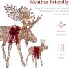 imageBest Choice Products 2Piece Moose Family Lighted Outdoor AllWeather Christmas Yard Decoration LightUp Dcor Set w 170 LED Lights Ground Stakes Zip Ties  GoldRattan  Extra Large