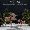imageBest Choice Products 2Piece Moose Family Lighted Outdoor AllWeather Christmas Yard Decoration LightUp Dcor Set w 170 LED Lights Ground Stakes Zip Ties  GoldRattan  Extra Large