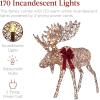 imageBest Choice Products 2Piece Moose Family Lighted Outdoor AllWeather Christmas Yard Decoration LightUp Dcor Set w 170 LED Lights Ground Stakes Zip Ties  GoldRattan  Large