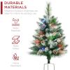 imageBest Choice Products Set of 2 245in Outdoor Pathway Christmas Trees Battery Operated PreLit Holiday Dcor wLED Lights Red Berries Pine ConesFrosted