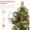 imageBest Choice Products Set of 2 245in Outdoor Pathway Christmas Trees Battery Operated PreLit Holiday Dcor wLED Lights Red Berries Pine ConesGreen WBerries