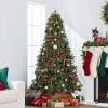 imageBest Choice Products Artificial Frosted Christmas Tree 6ft Premium PreLit Realistic Spruce Holiday Dcor wDense Branches Metal Base  Blue SpruceGreen Spruce