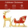 imageBest Choice Products XL Lighted Christmas 5ft Reindeer ampamp Sleigh Holiday Outdoor Yard Decoration Set w 265 LED Lights Stakes Zip Ties  GoldGold  Extra Large