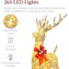 imageBest Choice Products XL Lighted Christmas 5ft Reindeer ampamp Sleigh Holiday Outdoor Yard Decoration Set w 265 LED Lights Stakes Zip Ties  GoldGold  Extra Large