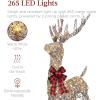 imageBest Choice Products XL Lighted Christmas 5ft Reindeer ampamp Sleigh Holiday Outdoor Yard Decoration Set w 265 LED Lights Stakes Zip Ties  GoldRattan  Extra Large