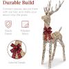 imageBest Choice Products XL Lighted Christmas 5ft Reindeer ampamp Sleigh Holiday Outdoor Yard Decoration Set w 265 LED Lights Stakes Zip Ties  GoldRattan  Extra Large