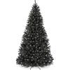 Black Spruce