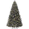 Black Spruce - Frosted