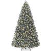 Blue Spruce - Frosted