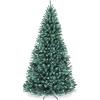 Blue Spruce