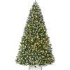 Green Spruce - Frosted