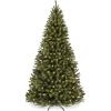 Green Spruce