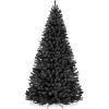 Black Spruce