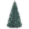 Blue Spruce