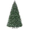 Frosted Green Spruce